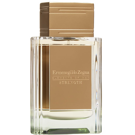 Фото духиErmenegildo Zegna Strength