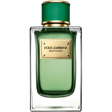Фото духиDolce And Gabbana Velvet Cypress