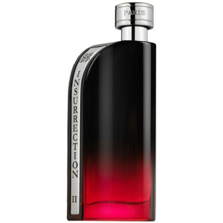 Фото духиReyane Insurrection II Dark