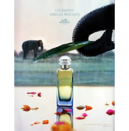 Фото духиHermes Un Jardin Apres La Mousson