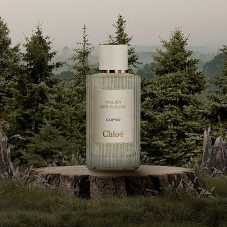 Фото духиChloe Cedrus