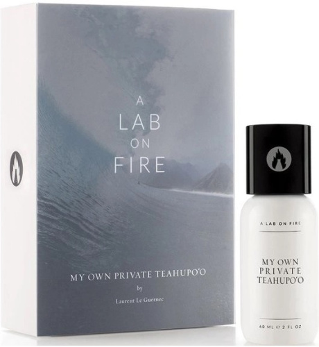 A Lab On Fire My Own Private Teahupo'o 60