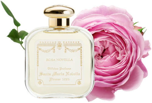 Santa Maria Novella Rosa Novella картинка