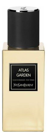 Фото духиYves Saint Laurent Atlas Garden