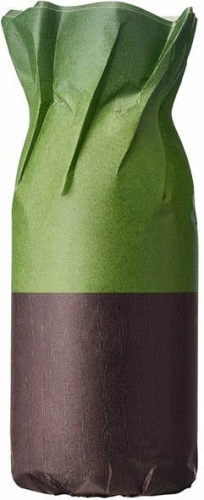 Фото духиDries Van Noten Cannabis Patchouli