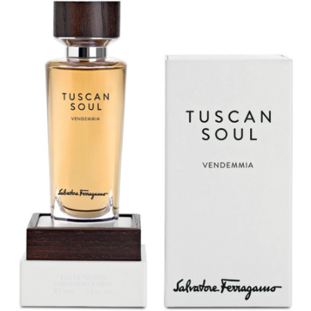 Фото духиSalvatore Ferragamo Tuscan Soul Vendemmia