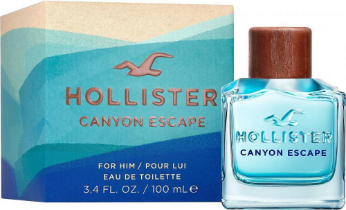 Фото духиHollister Canyon Escape Man