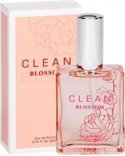 Фото духиClean Clean Blossom