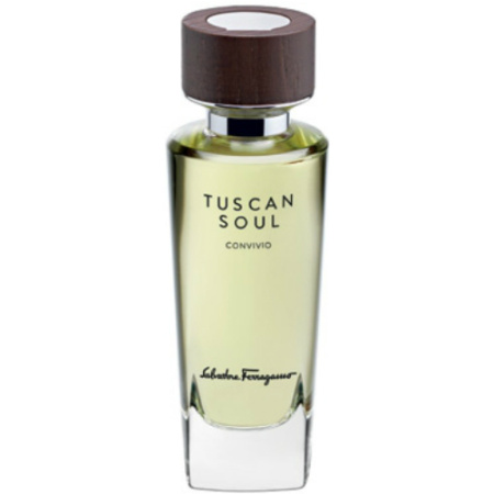Фото духиSalvatore Ferragamo Tuscan Soul Convivio