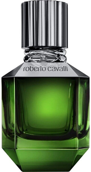 Фото духи Roberto Cavalli Paradise Found For Men